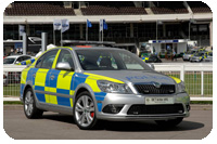 Skoda VRS 2009 EVO Demo 